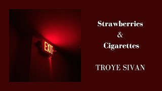 Troye Sivan  Strawberries amp Cigarettes Lyrics [upl. by Adi390]