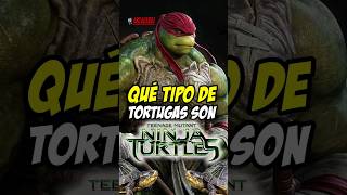 How To Draw Michelangelo  TMNT Mutant Mayhem shorts drawing drawingvideo tmnt [upl. by Pyle]