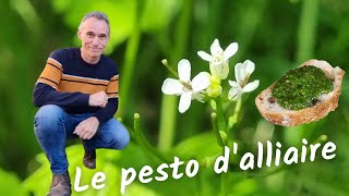 Recette dun pesto à lalliaire [upl. by Defant]