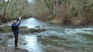 Steelhead fishing at North Fork Alsea Oregon [upl. by Tuinenga]