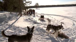 Jimin matkassa Vuokatissa  esittelyssä Vuokatti Husky [upl. by Alecia]