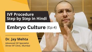 Embryo Culture amp Incubation Embryo Culture Stages IVF Procedure Step by Step in HindiDr Jay Mehta [upl. by Ydnam289]