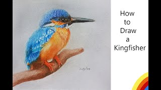 How to draw a kingfisher bird Bird drawing [upl. by Shivers704]