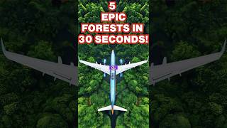 5 Largest Forests in 30 Seconds 🌲🌍 [upl. by Boardman]