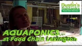 Aquaponics at Food Chain Lexington [upl. by Odravde]