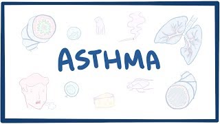 Asthma  causes symptoms diagnosis treatment pathology [upl. by Cressy94]