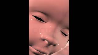 Fetus Development Stage 8 3D Animation [upl. by Rape383]