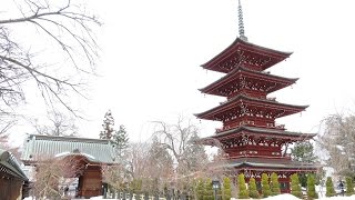 AOMORI Hirosaki City quotTemplesquot 弘前 最勝院 ＆ 禅林街 長勝寺 [upl. by Notle709]