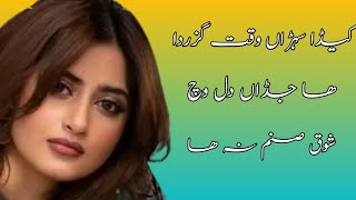 keda suhran waqt guzarda ha jadan Dil Wich shooq Sanam na ha  Shakir Shuja abadi poetry  Dohry [upl. by Arytahs]