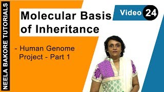 Molecular Basis of Inheritance  NEET  Human Genome Project  Part 1  Neela Bakore Tutorials [upl. by Ehctav99]