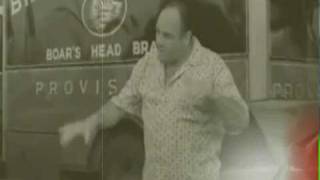 quotTiny Tearsquot by Tindersticks  A Tony Soprano Tribute  New Raw Breed Tv [upl. by Winny767]