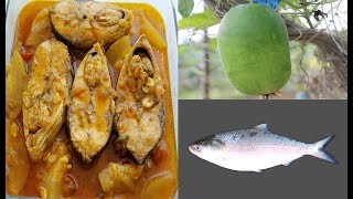 ইলিশ মাছ দিয়ে চাল কুমড়া তৈরি প্রণালী  Ilish mach die chal kumra recipe [upl. by Ynehteb709]