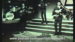 Los Shakers TV Clip 1966 Argentina  Rara edicion de epoca [upl. by Ecnerol792]