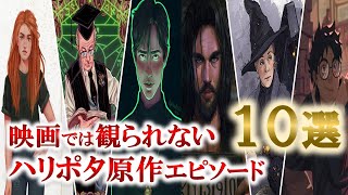 【解説】映画版ハリーポッターで描かれなかったエピソード10選！（ハリポタ ファンタビ ハリーポッターと呪いの子 USJ ユニバ 藤原竜也 石丸幹二 向井理） [upl. by Attekram201]