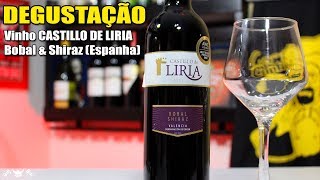 DEGUSTAÇÃO  VINHO quotCASTILLO DE LIRIAquot Bobal amp Shiraz Espanha [upl. by Amikehs]