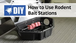 How to Use Rodent Bait Stations [upl. by Cantlon]