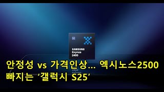 안정성 vs 가격인상… 엑시노스2500 빠지는 ‘갤럭시 S25’ Stability vs Price Increase quotGalaxy S25quot without Exynos 2500 [upl. by Nickles]