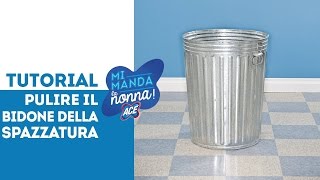 Come pulire il bidone della spazzatura  Mi Manda La Nonna [upl. by Amsirac]