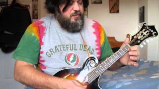 Easy mandolin lesson  Led Zeppelin [upl. by Regnig]