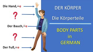 Der Körper  Die Körperteile  The body parts in German  Deutsch lernen [upl. by Lennor]