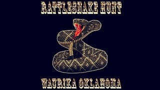 Waurika Rattlesnake Festival [upl. by Yonina]