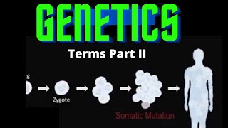 Chromosomal Aberration  numerical aberration  euploidy polyploidy  aneuploidy genetics lectures [upl. by Furlani]