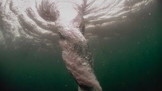 Whirlpool Under water camera [upl. by Valoniah412]