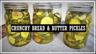 Crunchy Bread amp Butter PicklesPickle RecipeSweet PicklesSweet and Spicy Pickles [upl. by Ane]