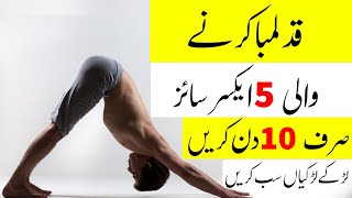 5 Easy Home Exercise For Increase Your Height  How To Increase Height After 18 [upl. by Burn]