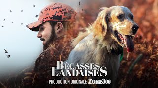 CHASSE À LA BÉCASSE DANS LES LANDES  Disponible sur Zone300 [upl. by Kettie]