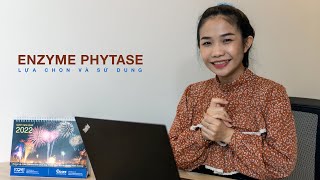 LỰA CHỌN ĐÚNG ENZYME PHYTASE DÙNG TRONG THỨC ĂN CHĂN NUÔI [upl. by O'Conner]