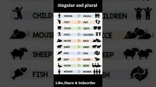 English Grammar Singular and plural Irregular plural nouns [upl. by Gnos830]