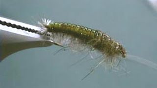 Hydropsyche Caddis Larva fly tying video by Shane Stalcup [upl. by Campman985]