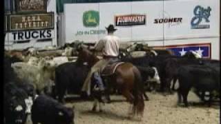 2002 NCHA Futurity Open Champion [upl. by Osnofledi303]