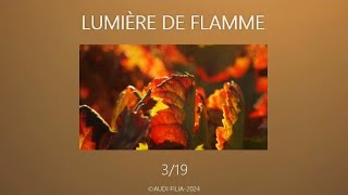 LUMIERE DE FLAMME 319 [upl. by Yecac]