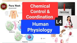 Chemical coordination and regulation mcq Lecture 4 [upl. by Sonitnatsnoc387]