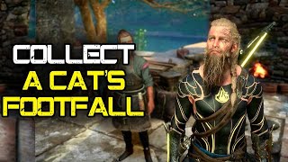 Collect A Cats FootfallA Felines Footfall Assassins Creed Valhalla [upl. by Tneciv422]