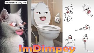 Try Not To Laugh Challenge Funny ImDimpey TikTok Videos of 2022 All Of ImDimpey Videos [upl. by Nitsed]