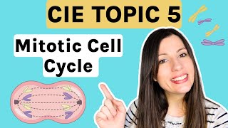 Mitosis and the Cell Cycle  Entire topic CIE Alevel Biology Topic 5 [upl. by Laen193]