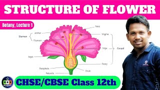 Structure of flower  Class 12th  Lecture 1 biologybotany12thclass [upl. by Aneeras]