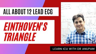 ECG BASICS WHAT IS 12 LEAD ECG EINTHOVENS TRIANGLE Dr Anupam Mohapatra [upl. by Leahcimed]