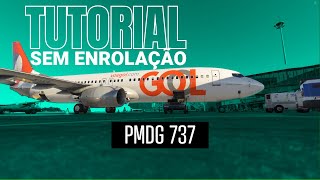 PMDG 737  Tutorial Sem enrolação [upl. by Crelin685]