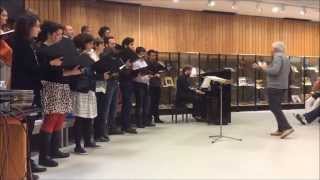 Ensemble vocal Michel Piquemal  les dessous dun concert [upl. by Ybanrab]