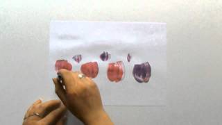 Easy way to paint tulips for beginners ein einfach Weg Tulpen zu malen für Einsteiger [upl. by Kathy]