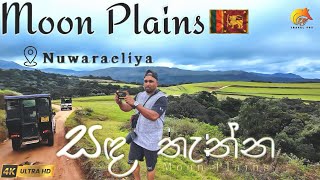 Moon plains nuwaraeliya srilanka  සඳතැන්න නුවරඑළිය TravelFoxxx travel [upl. by Idelson]