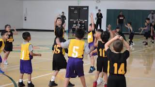 Mayberry Park DFenders vs Adventure Park Lakers  2019 [upl. by Attenyt]