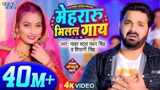 Video  मेहरारू मिलल गाय  PawanSingh  Mehraru Milal Gaay  Shivani Singh  Bhojpuri Song 2024 [upl. by Gerger]