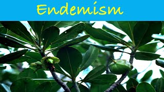 Endemism  Causes of Endemism  Endemic Species  Ecology science biology ecology csirnet [upl. by Abramson571]