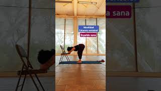 Secuencia corta para una espalda sana ✨️🧘‍♀️ hathayoga yoga yogaencasa yogaparaprincipiantes [upl. by Carder]