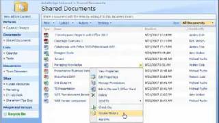 SharePoint Intranet Overview [upl. by Gosney]